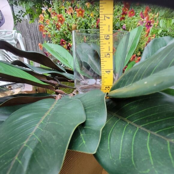 Candle Holder - Picture 6 of 11